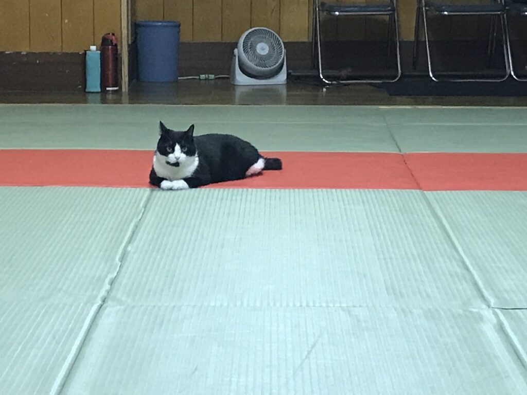 チーくん